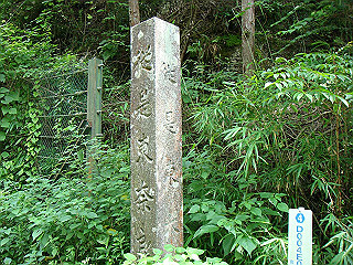 dsc03571_thumb.jpg