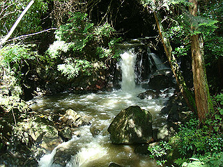dsc03572_thumb.jpg