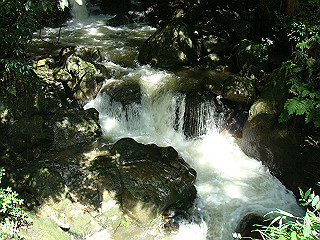 dsc03577_thumb.jpg