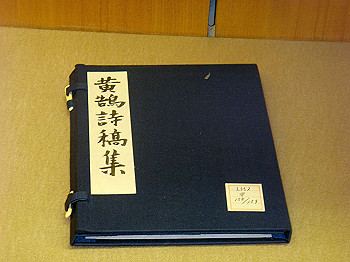 dsc03741_thumb.jpg