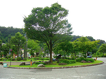 dsc03777_thumb.jpg