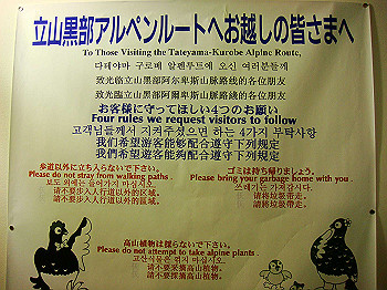 dsc03787_thumb.jpg