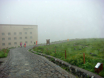 dsc03800_thumb.jpg