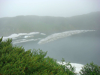 dsc03819_thumb.jpg