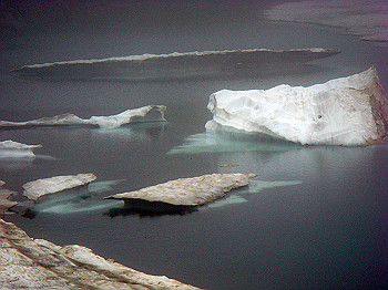 dsc03826_thumb.jpg