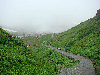 dsc03831_thumb.jpg