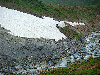 dsc03853_thumb.jpg