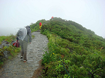 dsc03891_thumb.jpg