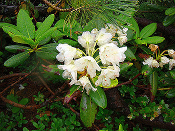 dsc03894_thumb.jpg