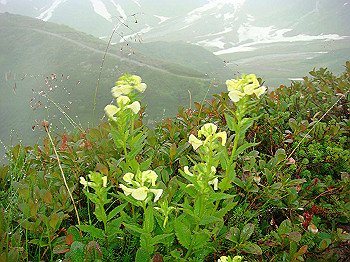 dsc03895_thumb.jpg