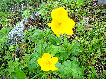 dsc03926_thumb.jpg