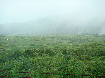 dsc03930_thumb.jpg