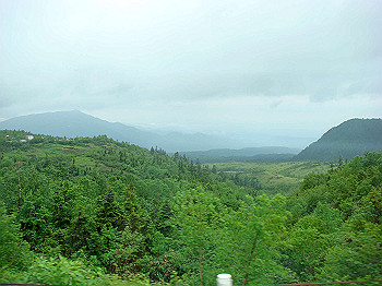 dsc03931_thumb.jpg