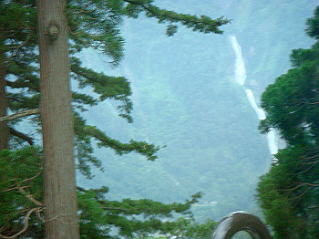dsc03934_thumb.jpg
