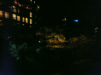 dsc04016_thumb.jpg