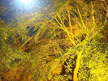 dsc04024_thumb.jpg