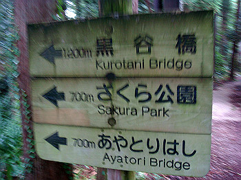 dsc04030_thumb.jpg