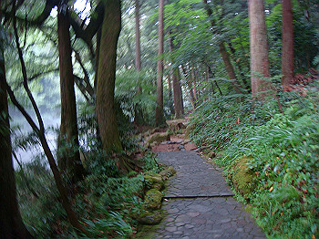 dsc04031_thumb.jpg