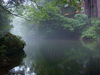dsc04033_thumb.jpg