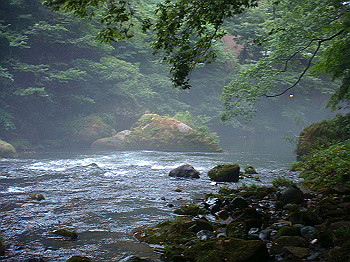 dsc04035_thumb.jpg