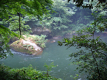 dsc04037_thumb.jpg