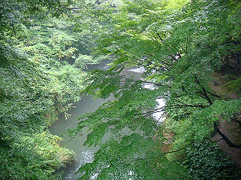 dsc04046_thumb.jpg