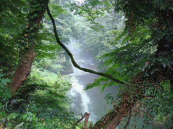 dsc04051_thumb.jpg