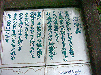 dsc04053_thumb.jpg