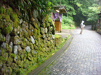 dsc04054_thumb.jpg