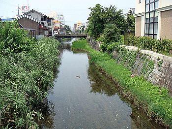 dsc04089_thumb.jpg