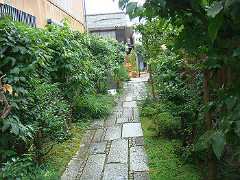 dsc04141_thumb.jpg