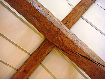 dsc04159_thumb.jpg