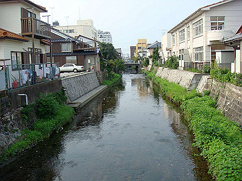 dsc04175_thumb.jpg