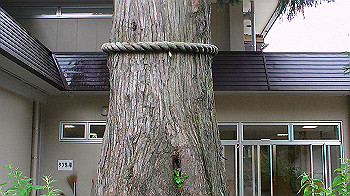 pic_0056_thumb.jpg