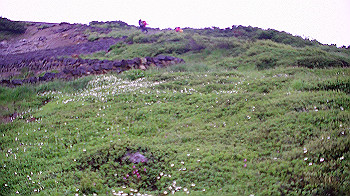 pic_0066_thumb.jpg