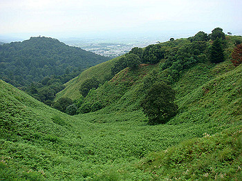 dsc04344_thumb.jpg