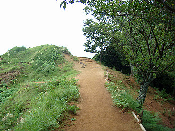 dsc04347_thumb.jpg
