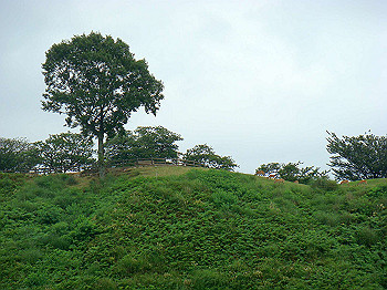 dsc04349_thumb.jpg