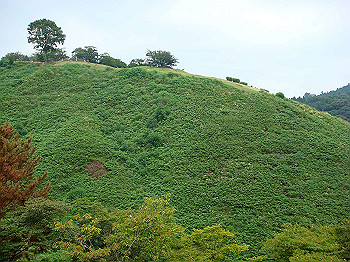 dsc04350_thumb.jpg