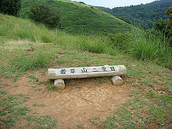 dsc04353_thumb.jpg