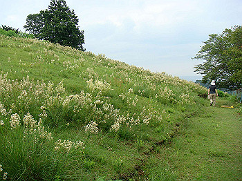 dsc04361_thumb.jpg