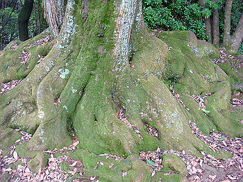 dsc04367_thumb.jpg