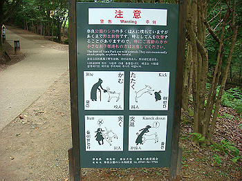 dsc04368_thumb.jpg