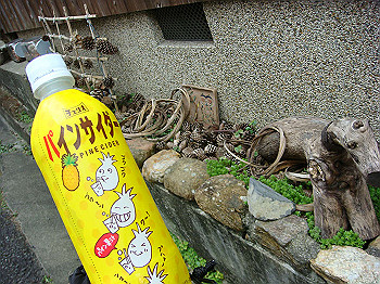 dsc04397_thumb.jpg