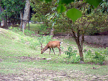 dsc04400_thumb.jpg