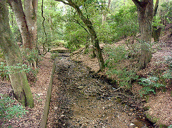 dsc04401_thumb.jpg