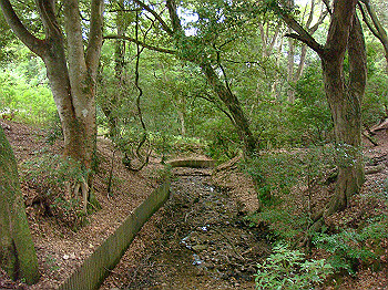 dsc04402_thumb.jpg