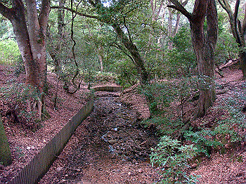 dsc04403_thumb.jpg