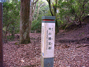 dsc04404_thumb.jpg