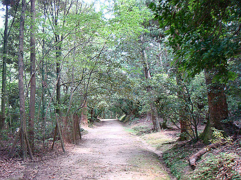 dsc04408_thumb.jpg